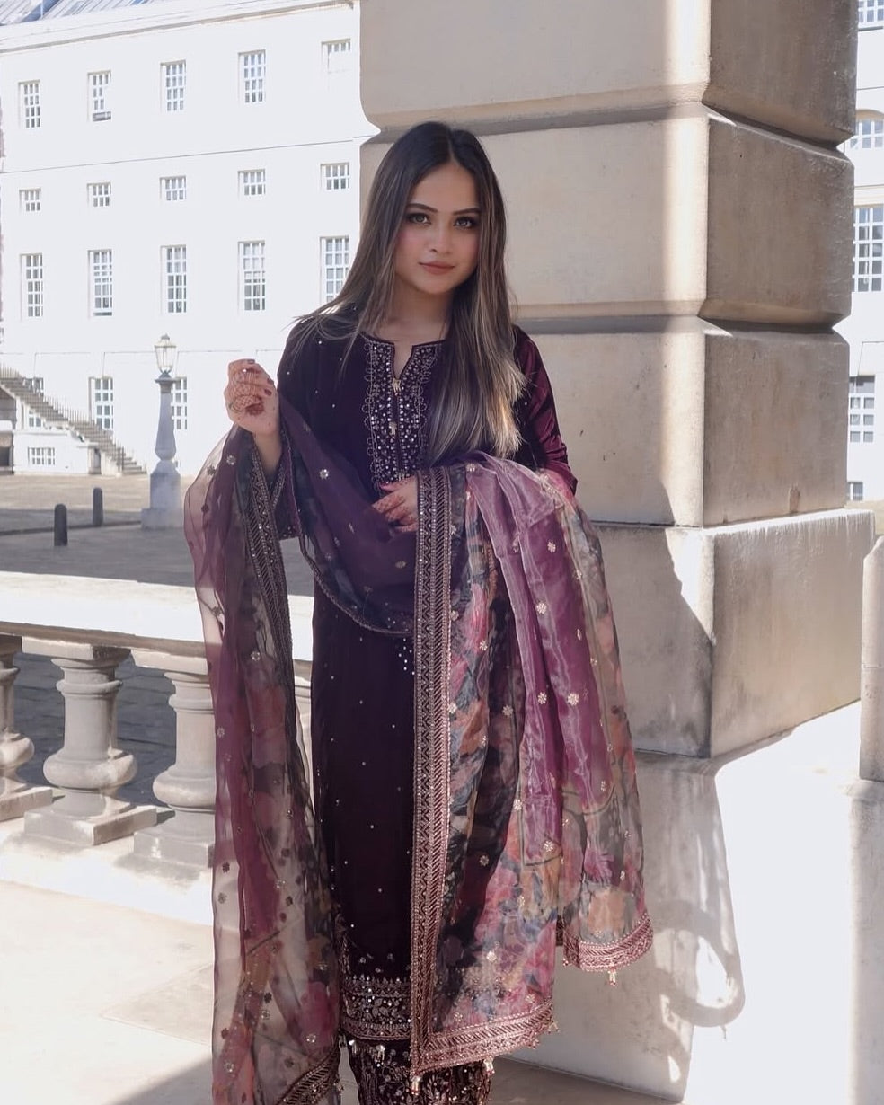 Regal Velvet Splendor with a Touch of Sophistication